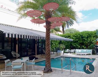 Roami at Hotel Astor - Miami Beach - 6