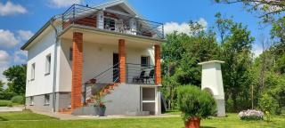 Kuća za odmor Milan - Šarengrad - 9