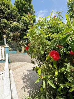 Maison nichée dans les hauteurs - 6