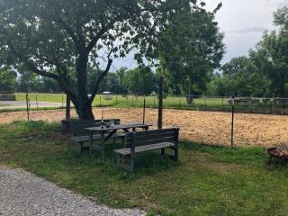 Adlershof living - Hemmersheim - 5