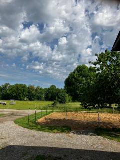 Adlershof living - Hemmersheim - 1