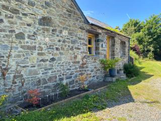 Badger Banc - Pembrokeshire - 8