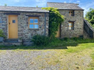 Badger Banc - Pembrokeshire - 6