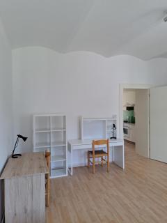 City Appartment Orlitsch - 3