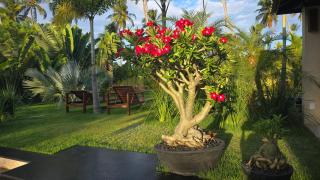 Casa Bellavistagostoso - São Miguel do Gostoso - 3