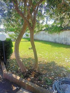 Villa Indipendente " Coco' " - 50 mt dal mare senza attraversamenti -posizionata tra San Felice Circeo e Terracina- Ponza e Palmarola fronte spiaggia -22miglia- - 4