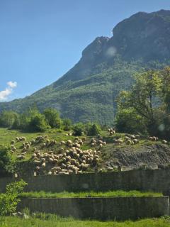 PROKLETIJE eko katun Vusanje - Gusinje - 1