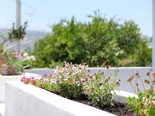 Mantarini House - Chania - 1