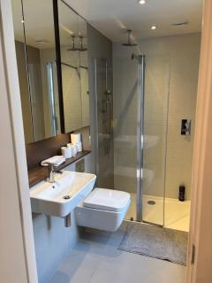 Modern 1 bed flat minutes from Hammersmith Apollo - London - 6