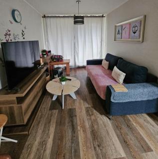 Apartamento Camino Al Volcan - Pucón - 2