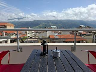 Aggelos Elegant Stay City Center - Ioannina - 1