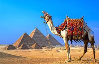 Master kings of the pyramids and Sphinx - Caïro - 7