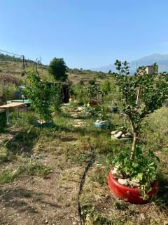 Camping Lake Viroi - Gjirokastër - 1