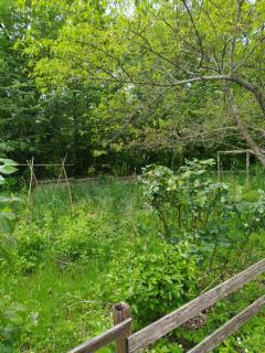 Écolodge Les Sentiers du Lac - Domaine de la Gaïa - 1