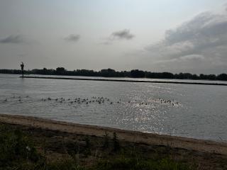 Uilehoeve aan de Waal - Zennewijnen - 6