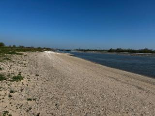 Uilehoeve aan de Waal - Zennewijnen - 7