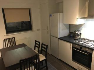 3 Bedrooms duplex house next to Kings Cross station - Londra - 2