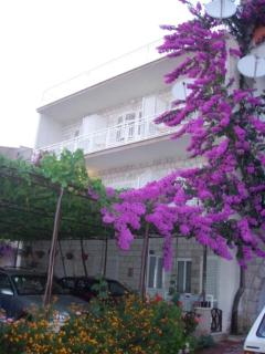 Villa Franić - Makarska - 2
