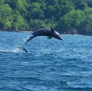 Discover Coiba Panama Tour - 9
