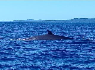 Discover Coiba Panama Tour - 5