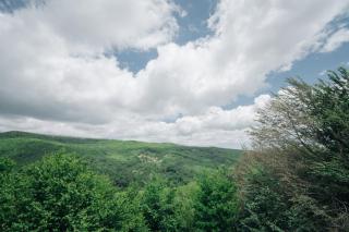 Gozel Mekan Resort - Avaxıl - 7
