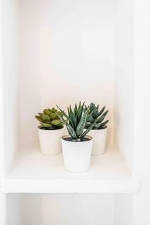 2 Pcs Plein Coeur Ville, Palace Festivals, Port Plages - Cannes - 3
