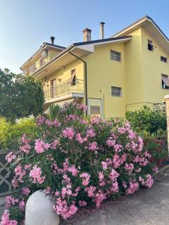 Glam House - Monteprandone - 9