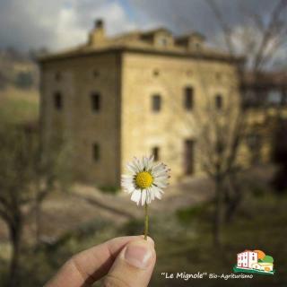 Le Mignole - Orsogna - 6