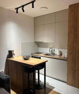 Capital Luxe Podgorica - Podgorica - 3