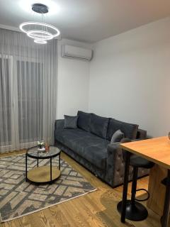 Capital Luxe Podgorica - Podgorica - 9