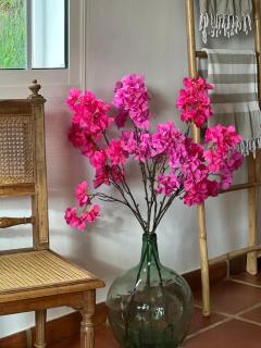 Casa Tragabalas - 6