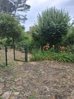 Appartement plain-pied - Piolenc - 1