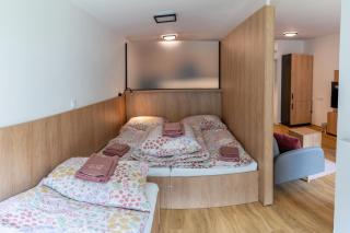 Apartmán Vilda - Dolní Morava - 8