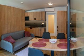 Apartmán Vilda - Dolní Morava - 7