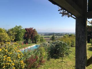 Le clos des mésanges - Montastruc - 1