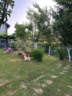 Holiday house Sarajevo - - 9