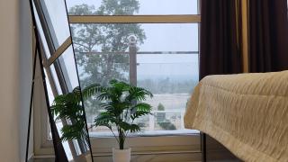 The Hills & Waves - 9