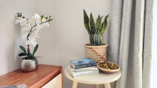 Peter's Nest - Livingstone - 3
