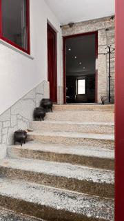Casa das Antas - Antas - 8