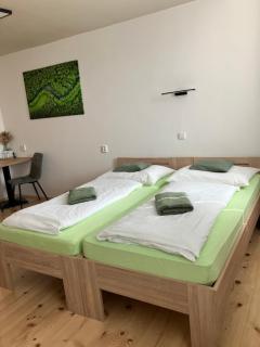 Pension Maate - Cesky Krumlov - 4