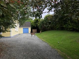 SLIEVNAMON HOUSE NICE SINGLE ROOM FOR GRILS ONLY g - - 1