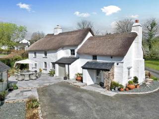 Beautiful character thatched cottage in St Mellion - Saltash - 4