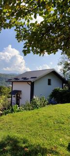 Legit House - Jaremče - 8