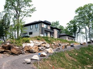 Modern Muskoka Cottage with Lake Views - Dwight - 6