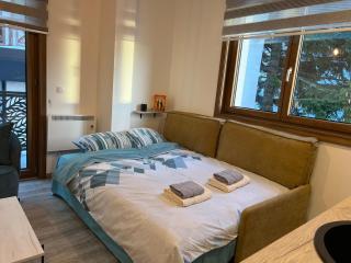 Vila Elena - Kopaonik - 2