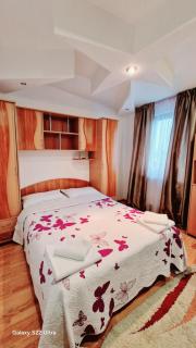 Special apartment NADEVA - Suceava - 8