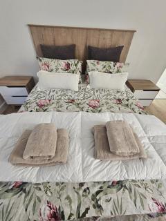 Tree Fern Cottage - Hermanus - 1