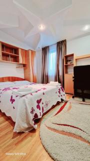 Special apartment NADEVA - Suceava - 9