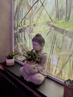 Aura Apartment und Spa Herne - Herne - 6
