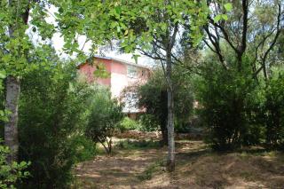 Canopee by Pinarello Villa Services - Zonza - 5